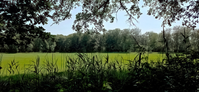 Met dit warme weer met de auto nog even naar Brummen gereden, dit is een overzicht vanaf de (een) weg . Het bosrijke achterland is heel interessant voor een wandeling.