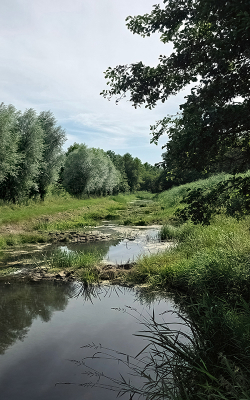 <i class='fa fa-user'></i>&nbsp;guidomwm&nbsp;|  Landschap met beekje&nbsp; <i class='fa fa-eye'>&nbsp;16</i> &nbsp; <i class='fa fa-comment-o'>&nbsp;0</i>