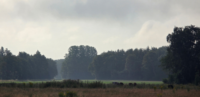 <i class='fa fa-user'></i>&nbsp;guidomwm&nbsp;|  Landschap in de vroege morgen&nbsp; <i class='fa fa-eye'>&nbsp;23</i> &nbsp; <i class='fa fa-comment-o'>&nbsp;2</i>