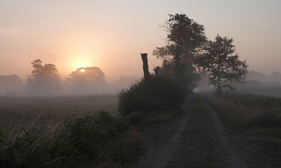 <i class='fa fa-user'></i>&nbsp;nelappelmelk&nbsp;|  Doorgekomen zon&nbsp; <i class='fa fa-eye'>&nbsp;6</i> &nbsp; <i class='fa fa-comment-o'>&nbsp;0</i>