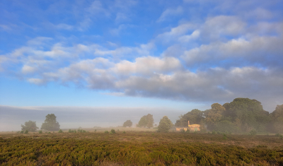 <i class='fa fa-user'></i>&nbsp;nelappelmelk&nbsp;|  Optrekkende mist&nbsp; <i class='fa fa-eye'>&nbsp;19</i> &nbsp; <i class='fa fa-comment-o'>&nbsp;0</i>