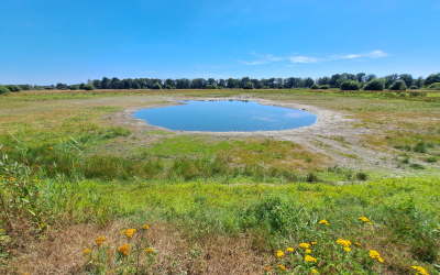 <i class='fa fa-user'></i>&nbsp;nelappelmelk&nbsp;|  Nog meer droogte&nbsp; <i class='fa fa-eye'>&nbsp;31</i> &nbsp; <i class='fa fa-comment-o'>&nbsp;2</i>
