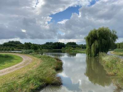 Nature picture: 1. Landgoed Haarzuilens