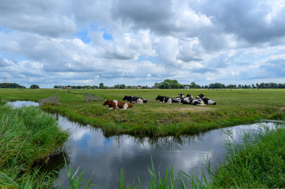 <i class='fa fa-user'></i>&nbsp;Hanry&nbsp;|  Hollands Landschap&nbsp; <i class='fa fa-eye'>&nbsp;5</i> &nbsp; <i class='fa fa-comment-o'>&nbsp;0</i>