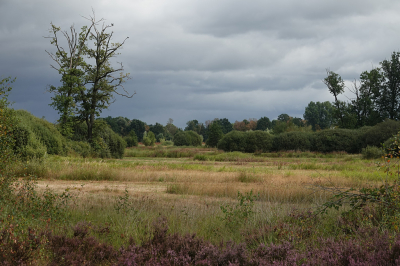 <i class='fa fa-user'></i>&nbsp;nelappelmelk&nbsp;|  Laagjes in het landschap&nbsp; <i class='fa fa-eye'>&nbsp;32</i> &nbsp; <i class='fa fa-comment-o'>&nbsp;0</i>