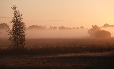 <i class='fa fa-user'></i>&nbsp;nelappelmelk&nbsp;|  Fris in de mist&nbsp; <i class='fa fa-eye'>&nbsp;48</i> &nbsp;<i class='fa fa-thumbs-up'>&nbsp;2</i> &nbsp; <i class='fa fa-comment-o'>&nbsp;4</i>