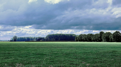 <i class='fa fa-user'></i>&nbsp;guidomwm&nbsp;|  Landschap Havikerwaard&nbsp; <i class='fa fa-eye'>&nbsp;39</i> &nbsp; <i class='fa fa-comment-o'>&nbsp;0</i>