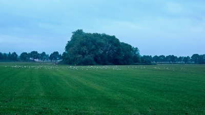 <i class='fa fa-user'></i>&nbsp;guidomwm&nbsp;|  Landschap met lichte regen&nbsp; <i class='fa fa-eye'>&nbsp;28</i> &nbsp; <i class='fa fa-comment-o'>&nbsp;0</i>
