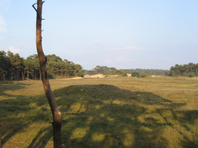 het was 2de pinksterdag 2004 toen we met de familie naar het wekeromse zand zijn gelopen.onderweg kon ik het niet laten wat plaatjes te schieten.