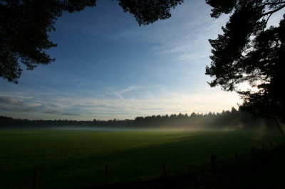 In het bos, vooral in de schaduw was het een mistige bedoeling. De laagstaande zon had moeite om de mist te verdrijven, wat leidde tot prachtige zonnestralen. Ondanks wat ontevredenheid over het fotowerk van die dag, vond ik deze nog het meest bepalend voor de sfeer die die dag het Hazenwater benvloedde.