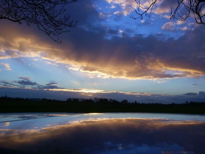 Nee, dit is geen van de friese meren, waar de avond lucht zijn kleuren in laat weerspiegelen. Dit is heel simpel de kap van de auto. Tijdens een ganzenexcursie kon ik het niet laten om nog snel even een foto te maken, ik zette de camera op het dak en achteraf dacht ik.. goh dit is zo gek nog niet! Pas na uitleg van dit fenomeen snappen de mensen dat dit geen luchtweerspiegeling in het water is.