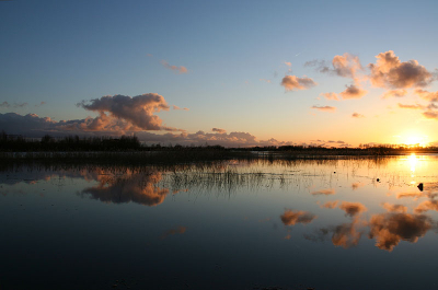 Zonsondergang boven de (ondergelopen uiterwaarden) IJssel bij Zwolle.
canon eos 350d, lens 17-70mm sigma