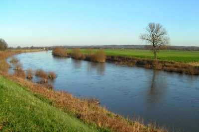 <i class='fa fa-user'></i> huub machiels | De grens Maas  <i class='fa fa-eye'> 242</i>   <i class='fa fa-comment-o'> 6</i>