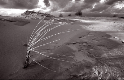 <i class='fa fa-user'></i>&nbsp;wilmers&nbsp;| kootwijkerzand&nbsp; <i class='fa fa-eye'>&nbsp;629</i> &nbsp;<i class='fa fa-thumbs-up'>&nbsp;1</i> &nbsp; <i class='fa fa-comment-o'>&nbsp;12</i>