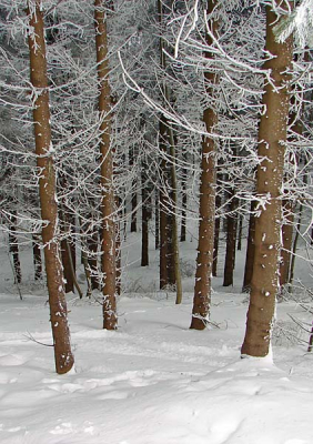 <i class='fa fa-user'></i> andrea | Winterbos  <i class='fa fa-eye'> 265</i>   <i class='fa fa-comment-o'> 8</i>