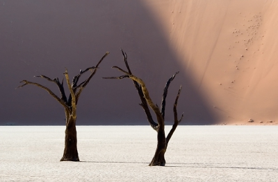 Toen zon 900 jaar geleden de toegang tot water door een duin werd afgesloten, veranderde Deadvlei in een gortdroge, brandende vlakte. De Acacias die destijds door het (schaarse) water konden bestaan, stierven af en werden door de ontzettend lage luchtvochtigheidsgraad geconserveerd. Nu is Deadvlei een van de meest surrealistische plekken op aarde.

Nikon D70, AF-S DX 12-24/4, f/16, statief, GND grad