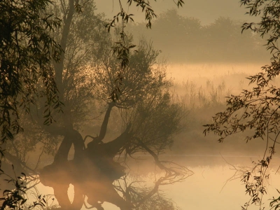 <i class='fa fa-user'></i>&nbsp;tvorsouw&nbsp;| Blauwe kamer&nbsp; <i class='fa fa-eye'>&nbsp;528</i> &nbsp; <i class='fa fa-comment-o'>&nbsp;9</i>