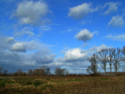 <i class='fa fa-user'></i> huub machiels | Landschap met wolken  <i class='fa fa-eye'> 220</i>   <i class='fa fa-comment-o'> 4</i>