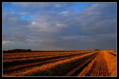 Dit zijn de polders in Oost-Groningen.groetjes henk