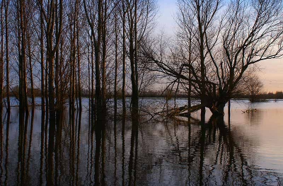 <i class='fa fa-user'></i> Ron Poot | Spiegeling in de IJssel  <i class='fa fa-eye'> 203</i>   <i class='fa fa-comment-o'> 7</i>