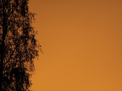 een zomeravond '06 vanuit mijn achtertuin.
opname met dimage Z5,geheel onbewerkt.