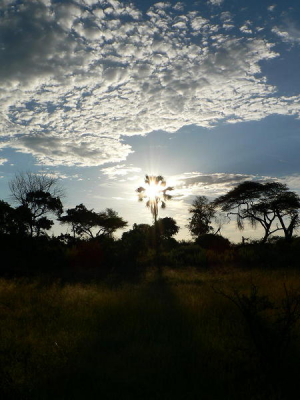 Okavangodelta