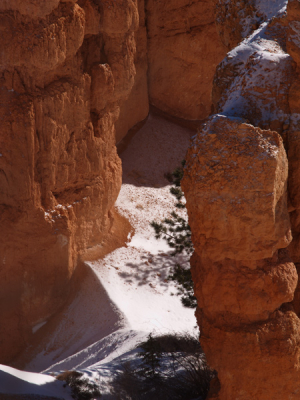 <i class='fa fa-user'></i> Alexander | Bryce canyon  <i class='fa fa-eye'> 173</i>   <i class='fa fa-comment-o'> 3</i>