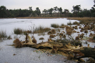 <i class='fa fa-user'></i> valentine | Sneeuw op het ijs  <i class='fa fa-eye'> 164</i>   <i class='fa fa-comment-o'> 8</i>