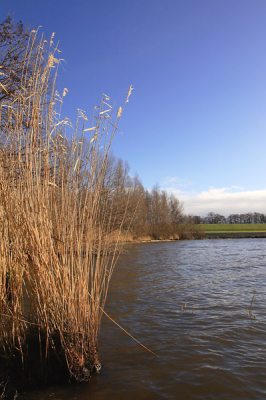 Aan het Volkerak, liggen aan de brabantse kant een paar mooie natuurgebiedjes buitendijks. Dit stukje natuur ligt net voor de welbekende Volkeraksluizen, ter hoogte van Fort Sabina.