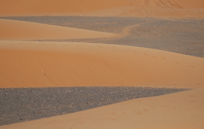 <i class='fa fa-user'></i> Manus | De Sahara en detail  <i class='fa fa-eye'> 353</i>   <i class='fa fa-comment-o'> 2</i>