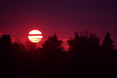 <i class='fa fa-user'></i> Tim Hofmeester | Zonsondergang  <i class='fa fa-eye'> 196</i>   <i class='fa fa-comment-o'> 2</i>