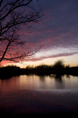 De zonsondergang van gisteravond vond ik echt spectaculair,
intens genieten.
Gemaakt met de Canon 20D met een Sigma 18-125mm objectief.

Groet, Madelon.
