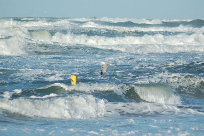 <i class='fa fa-user'></i> bor | Noordzee  <i class='fa fa-eye'> 230</i>   <i class='fa fa-comment-o'> 12</i>