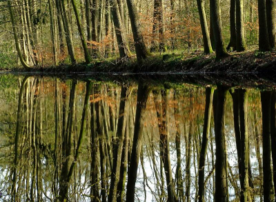 <i class='fa fa-user'></i> klomp | Spiegeltje, spiegeltje aan de wand  <i class='fa fa-eye'> 185</i>   <i class='fa fa-comment-o'> 4</i>