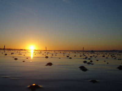 <i class='fa fa-user'></i> geertmaljaars | Zonsondergang  <i class='fa fa-eye'> 170</i>   <i class='fa fa-comment-o'> 6</i>