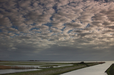<i class='fa fa-user'></i> Tim Oord | IJsselmeer nabij Lemmer  <i class='fa fa-eye'> 207</i>  <i class='fa fa-thumbs-up'> 1</i>   <i class='fa fa-comment-o'> 12</i>