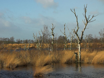 <i class='fa fa-user'></i> Tim Oord | Landschap  <i class='fa fa-eye'> 147</i>   <i class='fa fa-comment-o'> 5</i>