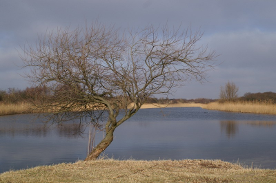 <i class='fa fa-user'></i> Agnes Bax | Natuurschoon  <i class='fa fa-eye'> 170</i>   <i class='fa fa-comment-o'> 12</i>