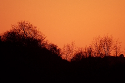 <i class='fa fa-user'></i> Tim Hofmeester | Duinen in het avondlicht  <i class='fa fa-eye'> 122</i>   <i class='fa fa-comment-o'> 1</i>
