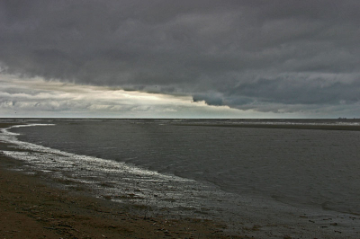 <i class='fa fa-user'></i> andrea | Een dreigende regen wolk  <i class='fa fa-eye'> 173</i>  <i class='fa fa-thumbs-up'> 1</i>   <i class='fa fa-comment-o'> 13</i>