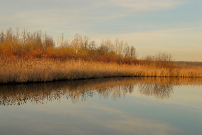 Een dag met mooi licht maar weinig vogels dus is het een landschapje geworden