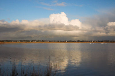 <i class='fa fa-user'></i> Tim Oord | Wolken  <i class='fa fa-eye'> 155</i>   <i class='fa fa-comment-o'> 2</i>