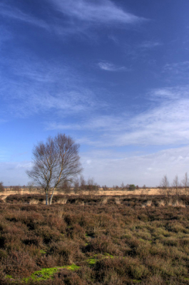 Afgelopen zaterdag een mooie dag om te fotograferen. Mooi contrast met de lucht.
Met HDR drie foto's tot n samengevoegd.