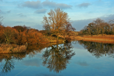 <i class='fa fa-user'></i> Marian de Zwart | Warm Landschap  <i class='fa fa-eye'> 282</i>  <i class='fa fa-thumbs-up'> 2</i>   <i class='fa fa-comment-o'> 11</i>