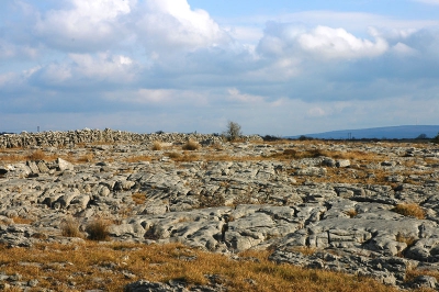 <i class='fa fa-user'></i>&nbsp;Rudi Debruyne&nbsp;| Burren Landschap&nbsp; <i class='fa fa-eye'>&nbsp;360</i> &nbsp; <i class='fa fa-comment-o'>&nbsp;2</i>