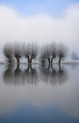 <i class='fa fa-user'></i> michiel schaap | Hoog water op de IJssel  <i class='fa fa-eye'> 746</i>  <i class='fa fa-thumbs-up'> 15</i>   <i class='fa fa-comment-o'> 23</i>