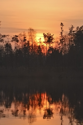 <i class='fa fa-user'></i> gertjan | Zonsondergang  <i class='fa fa-eye'> 185</i>   <i class='fa fa-comment-o'> 3</i>