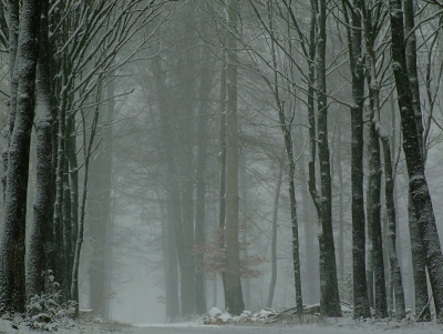 <i class='fa fa-user'></i> klomp | Nostalgische winterprent  <i class='fa fa-eye'> 478</i>   <i class='fa fa-comment-o'> 12</i>