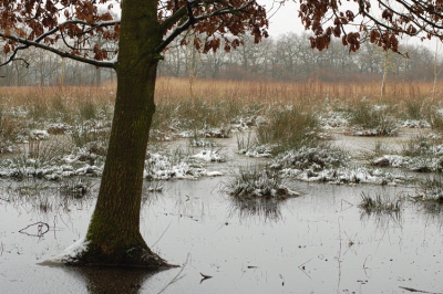 <i class='fa fa-user'></i> egon | Landgoed Ennemaborg; Gronings Landschap  <i class='fa fa-eye'> 160</i>   <i class='fa fa-comment-o'> 2</i>