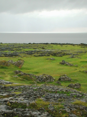 <i class='fa fa-user'></i>&nbsp;Rudi Debruyne&nbsp;| Burren landschap&nbsp; <i class='fa fa-eye'>&nbsp;316</i> &nbsp; <i class='fa fa-comment-o'>&nbsp;1</i>